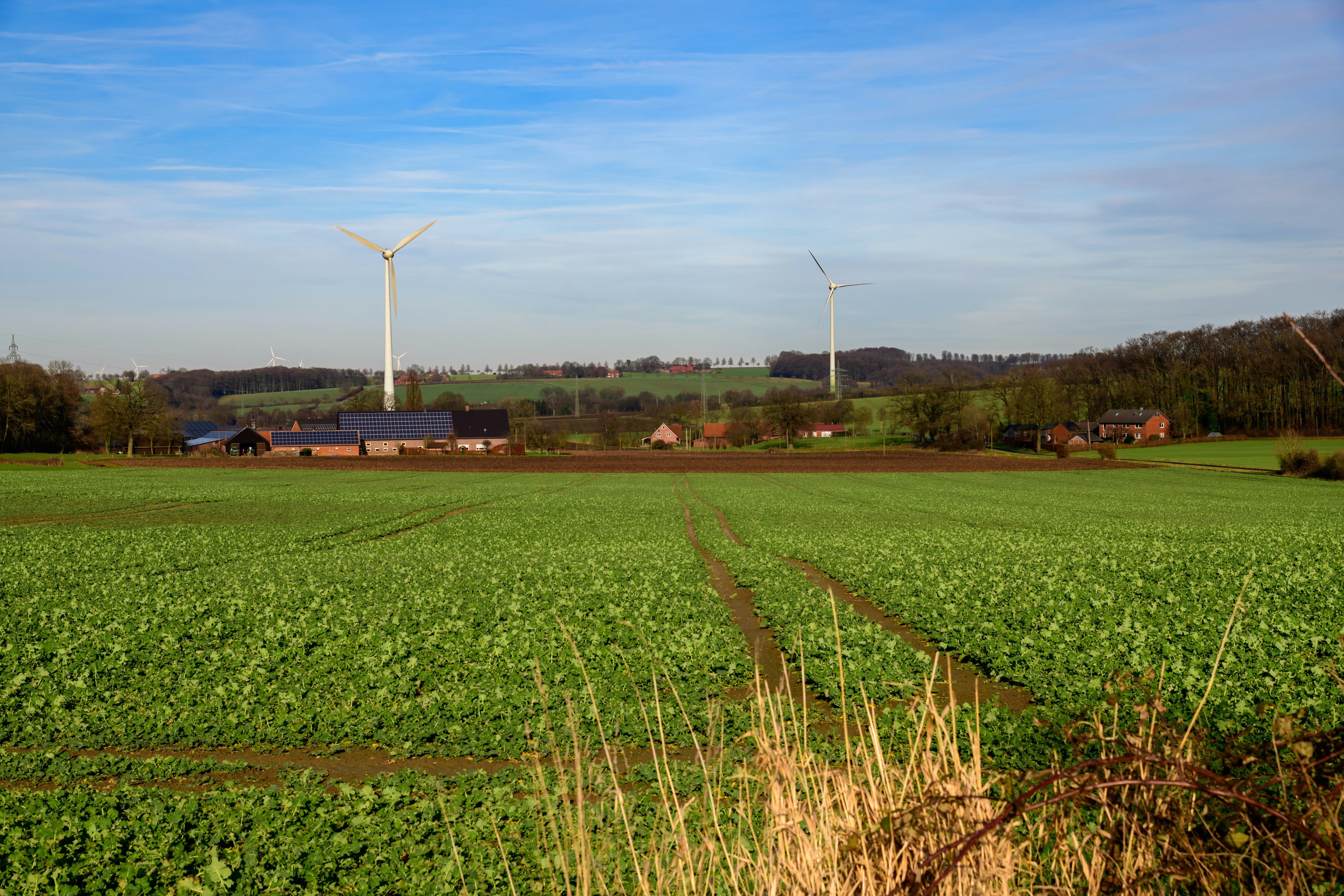 Renewable Energy Carbon Credits: A Growing Opportunity Across the Sahel